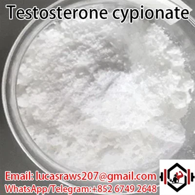 Testósterón Cypionate CAS 58 20 8